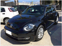 Volkswagen new beetle 1.6 tdi